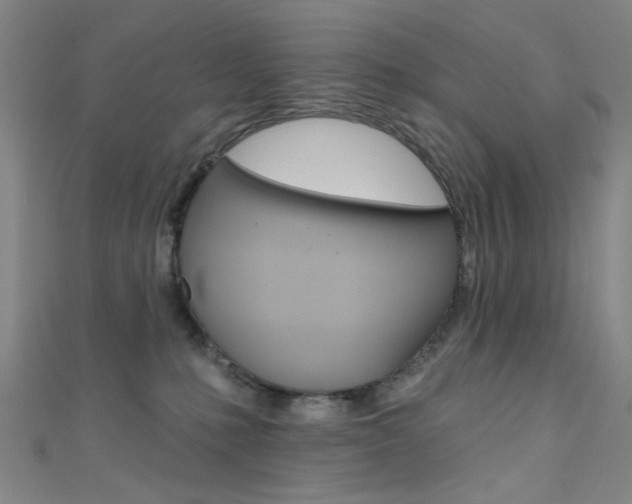 X0000111480231200907141049
