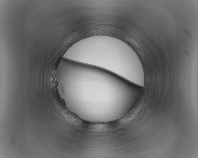 X0000111480237200907141049