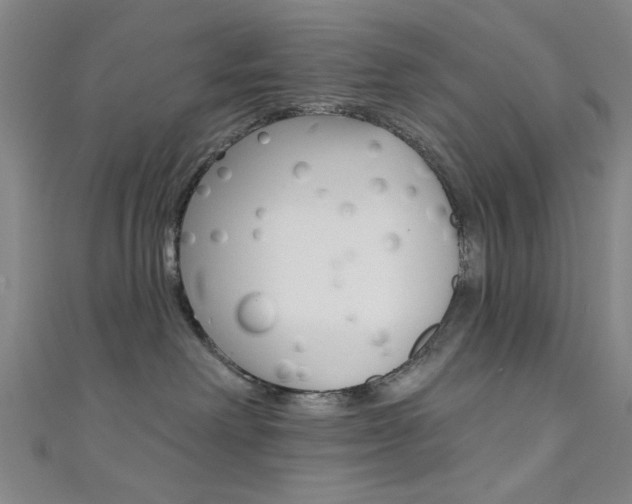 X0000111480238200907141049
