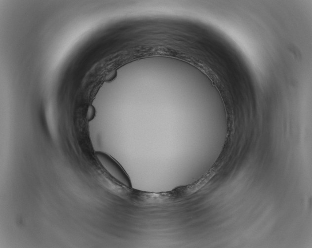 X0000111480239200907141049