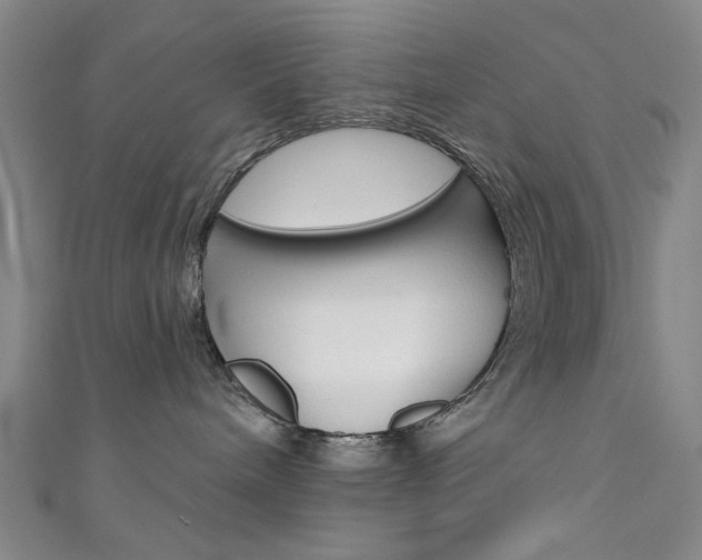 X0000111480240200907141049