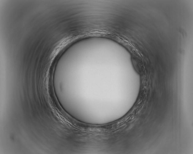 X0000111480242200907141049