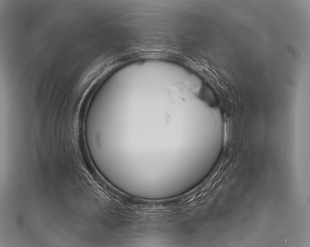 X0000111480243200907141049