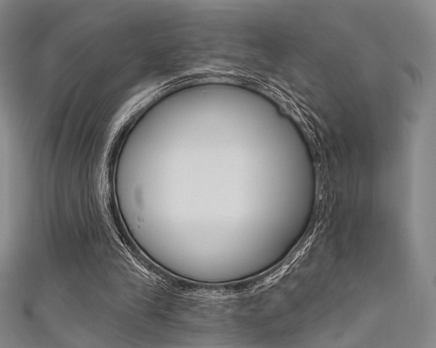 X0000111480245200907141049