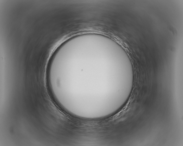 X0000111480248200907141049