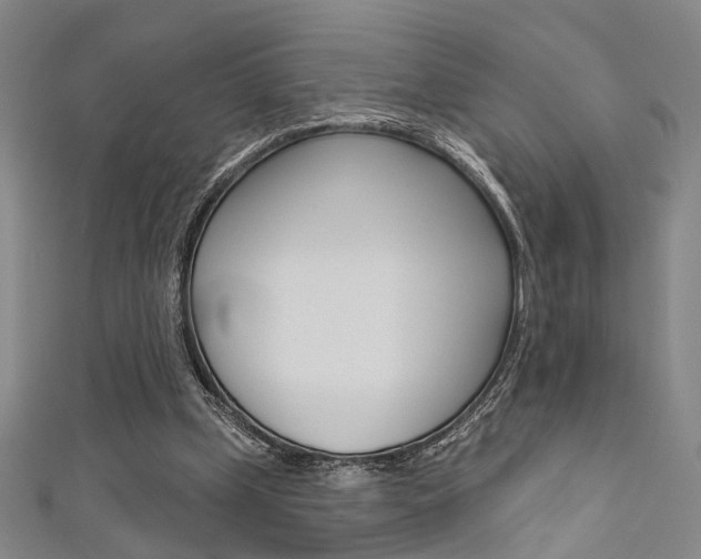 X0000111480249200907141049