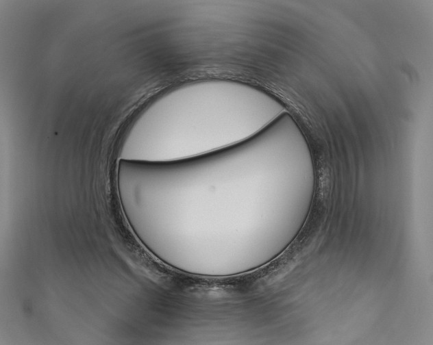 X0000111480254200907141049