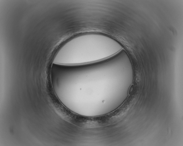 X0000111480256200907141049