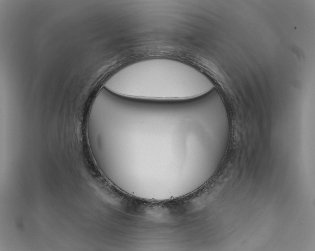 X0000111480258200907141049