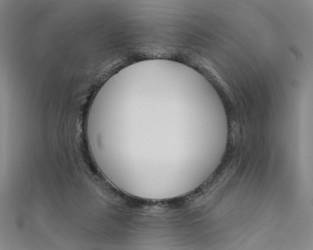 X0000111480259200907141049