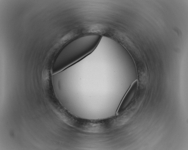 X0000111480260200907141049