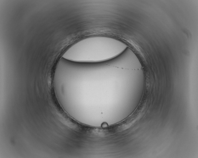 X0000111480261200907141049