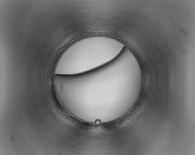 X0000111480262200907141049