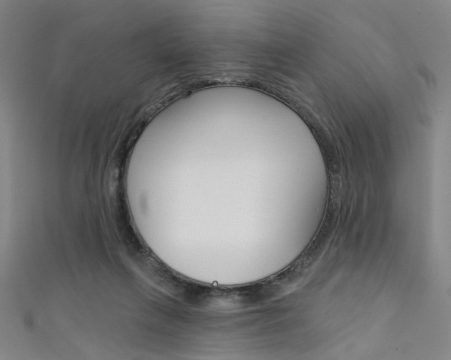 X0000111480263200907141049