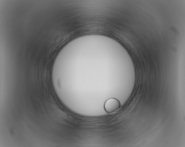X0000111480268200907141049