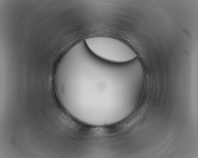 X0000111480269200907141049