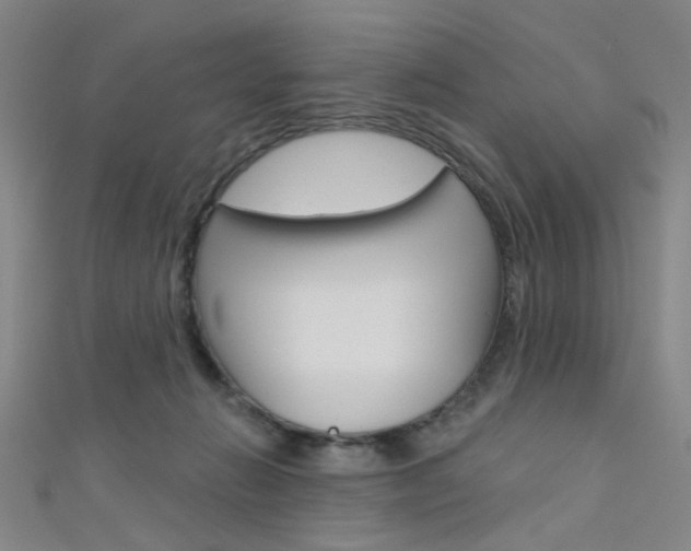 X0000111480270200907141049