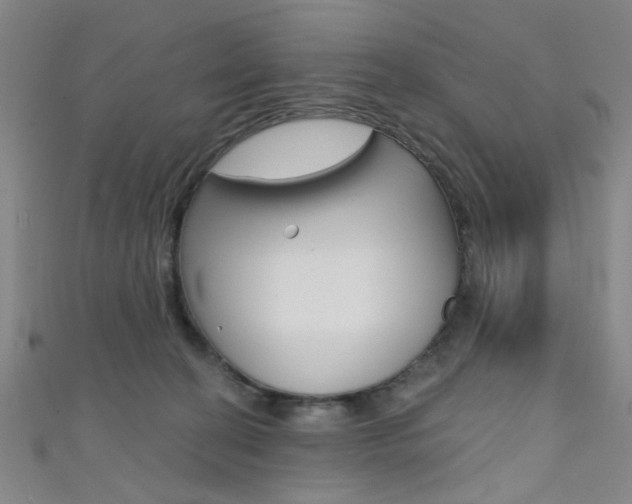 X0000111480274200907141049