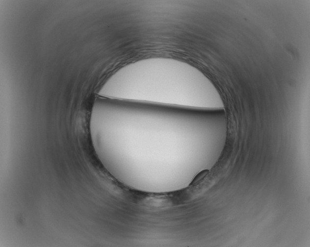 X0000111480280200907141049