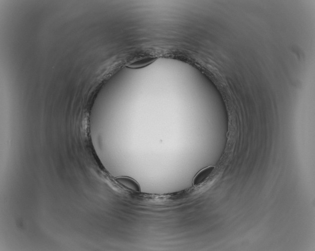 X0000111480288200907141049