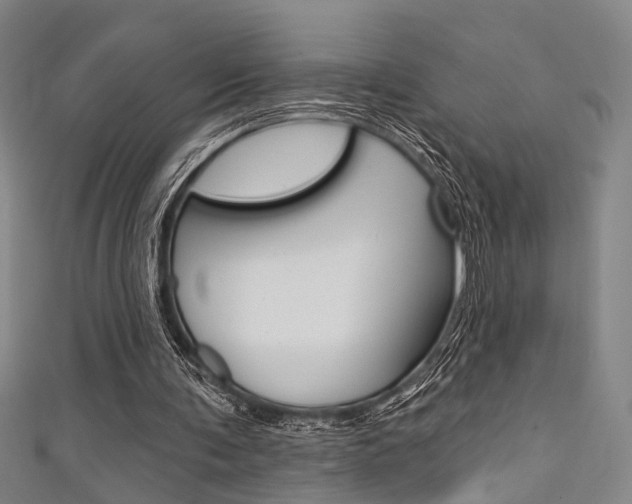 X0000111480291200907141048