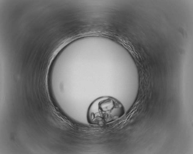 X0000111480292200907141048