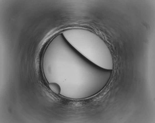 X0000111480295200907141048