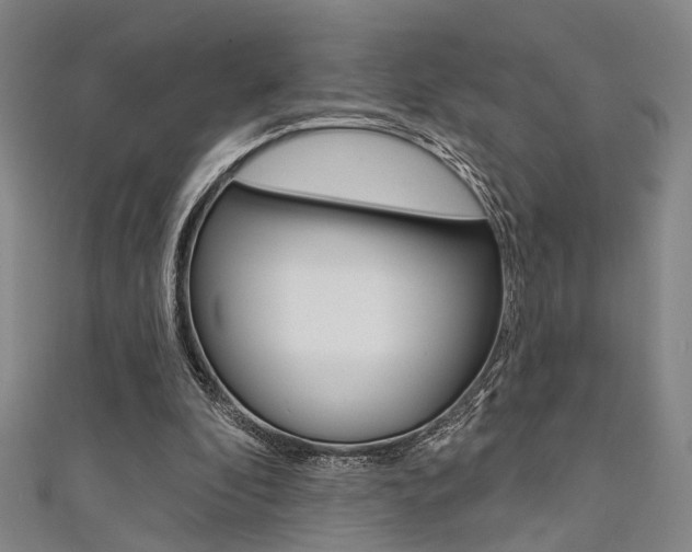 X0000111480296200907141048