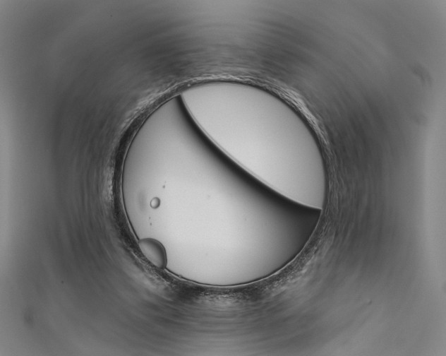 X0000111480299200907141048