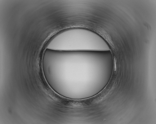 X0000111480300200907141048