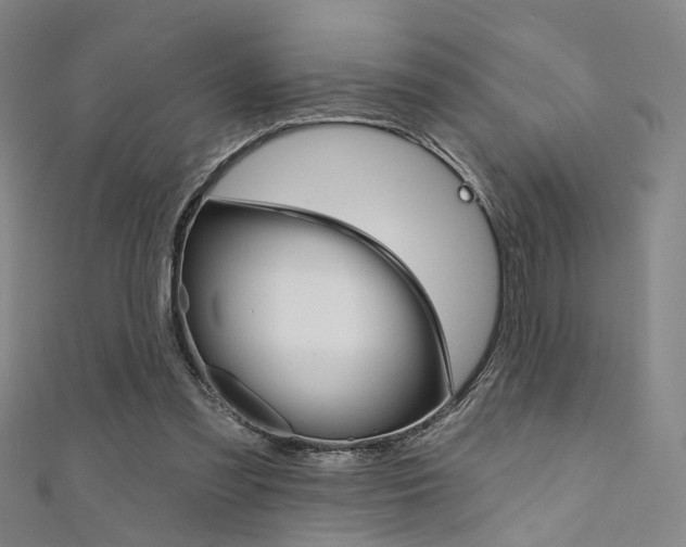 X0000111480301200907141048