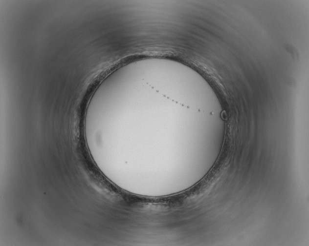 X0000111480303200907141048