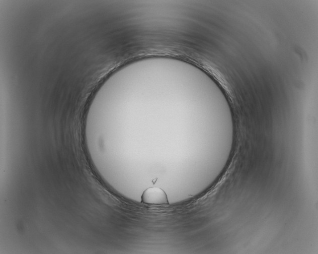 X0000111480305200907141048