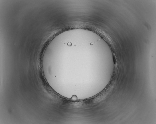X0000111480306200907141048