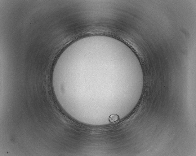 X0000111480309200907141048