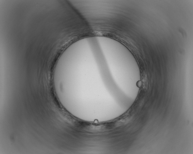 X0000111480314200907141048