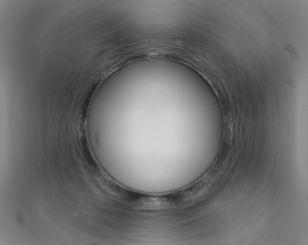 X0000111480316200907141048