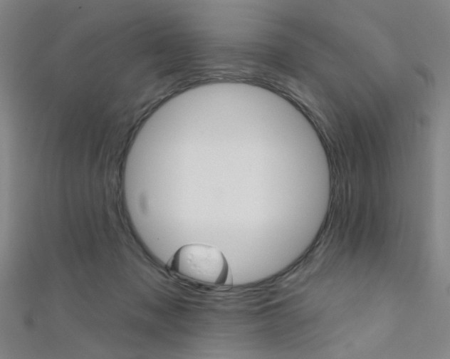 X0000111480317200907141048