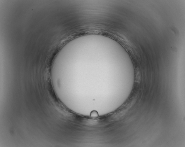X0000111480318200907141048