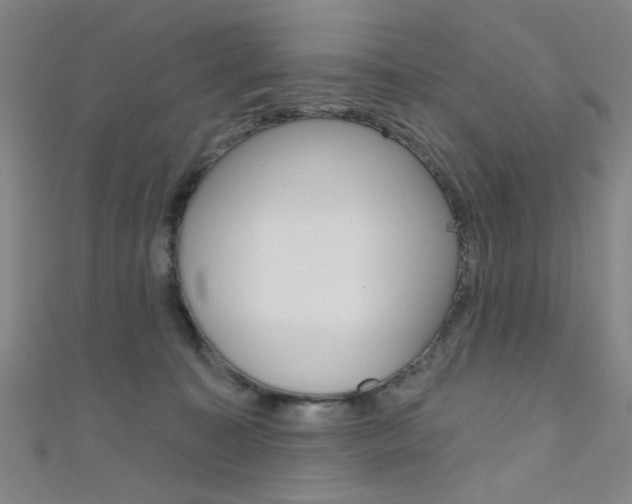 X0000111480323200907141048