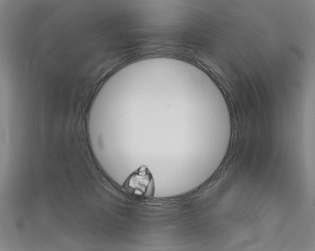 X0000111480325200907141048
