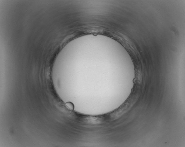 X0000111480326200907141048