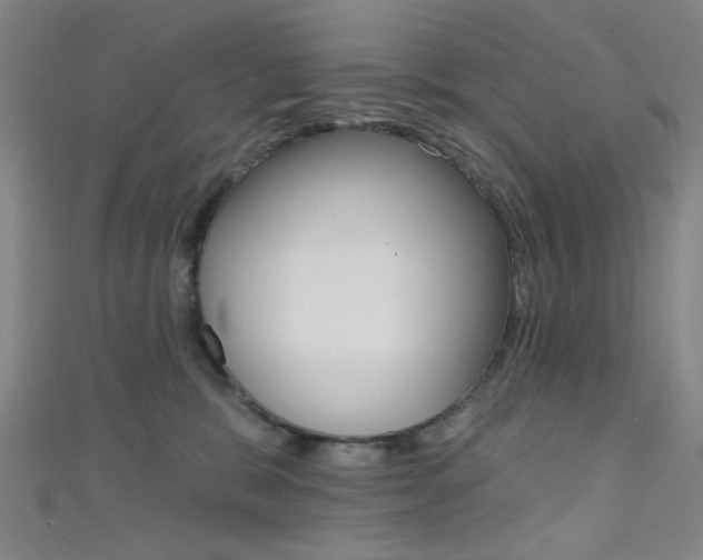 X0000111480327200907141048