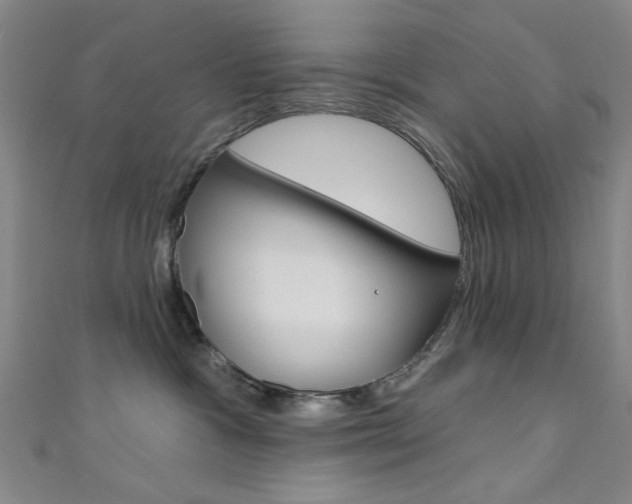 X0000111480333200907141048