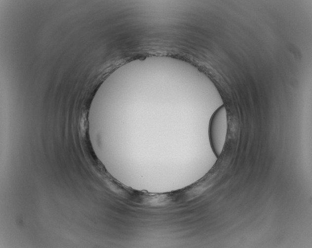 X0000111480334200907141048