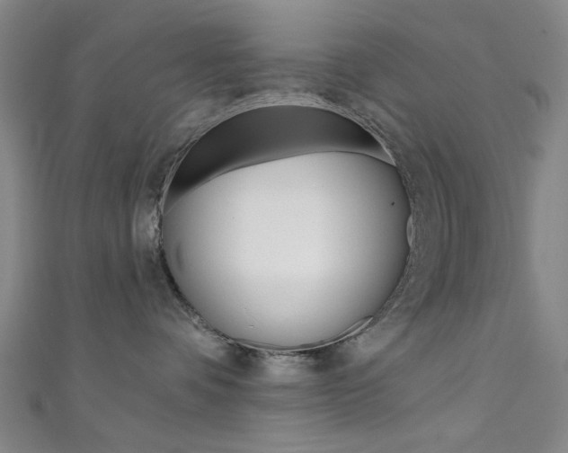 X0000111480336200907141048
