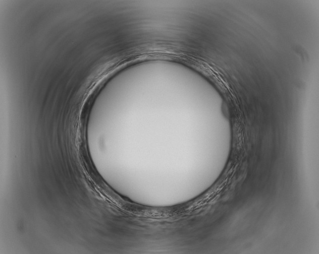 X0000111480338200907141047