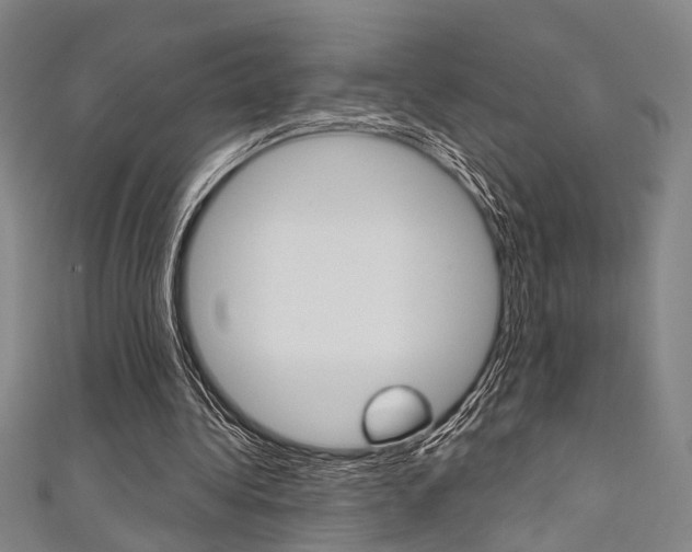 X0000111480340200907141047