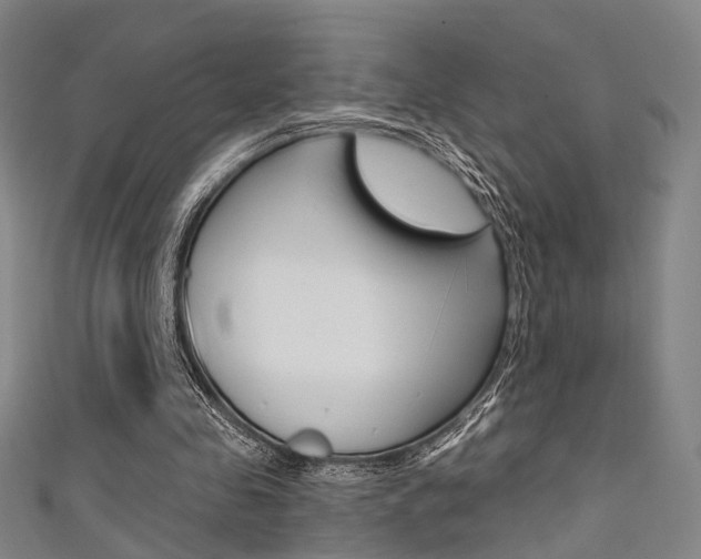 X0000111480341200907141047