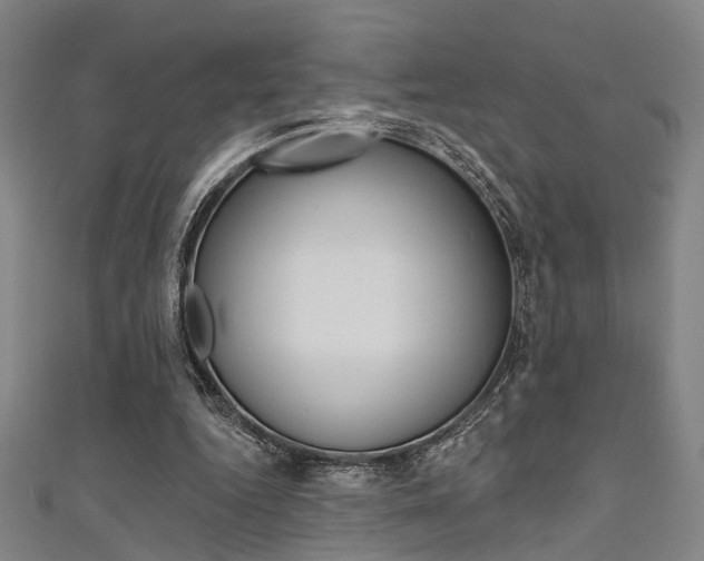 X0000111480344200907141047